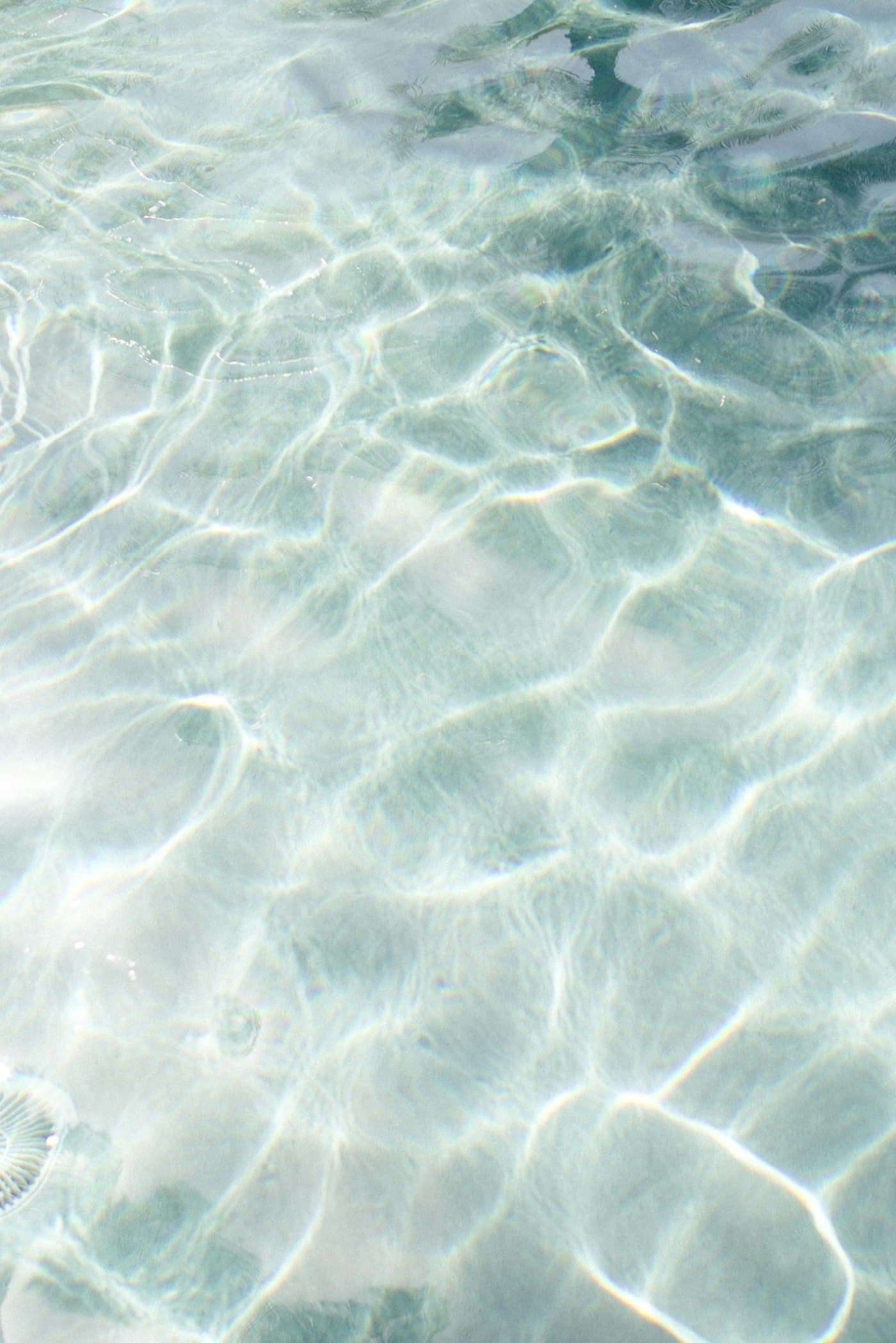 Sunlight rippling across clear water